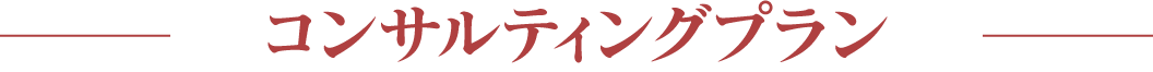 コンサルティングプラン